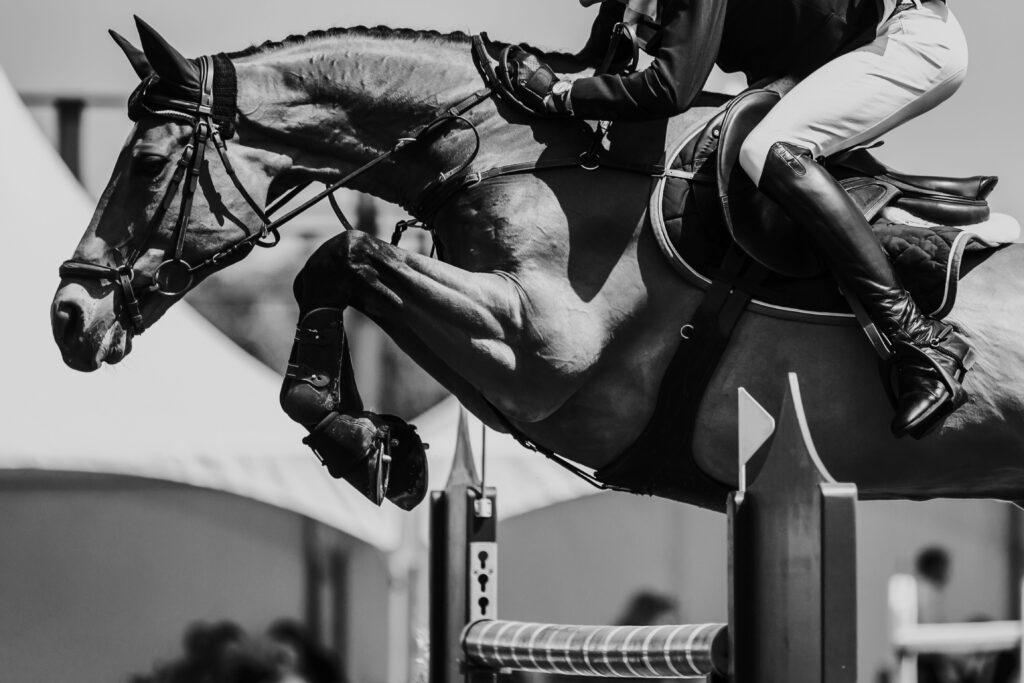 Close-up of a powerful horse and focused rider mid-jump